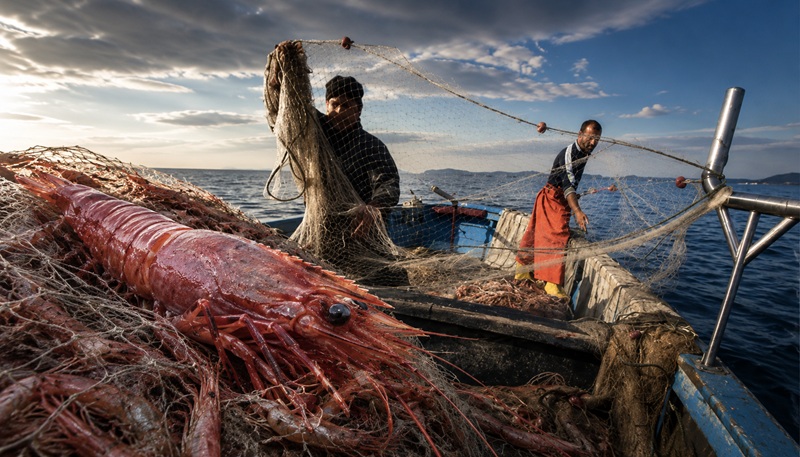 Pescatori al lavoro su un’imbarcazione con un grande gambero rosso in primo piano, simbolo della crisi delle quote tra Italia e Tunisia