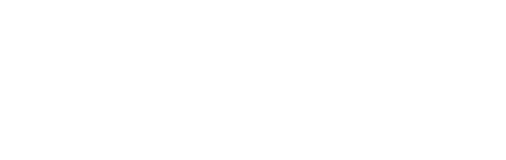 FERPI Logo