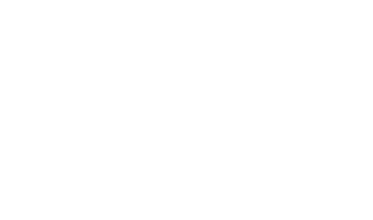 Università degli Studi di Roma Tor Vergata - Logo